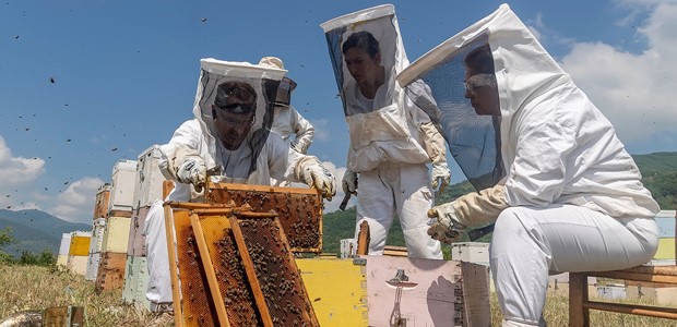 Έρχονται πληρωμές για τη μελισσοκομία 